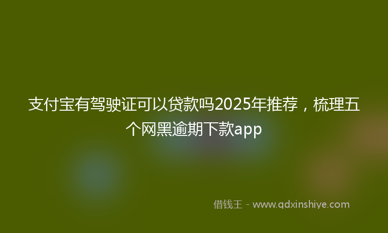支付宝有驾驶证可以贷款吗2025年推荐，梳理五个网黑逾期下款app