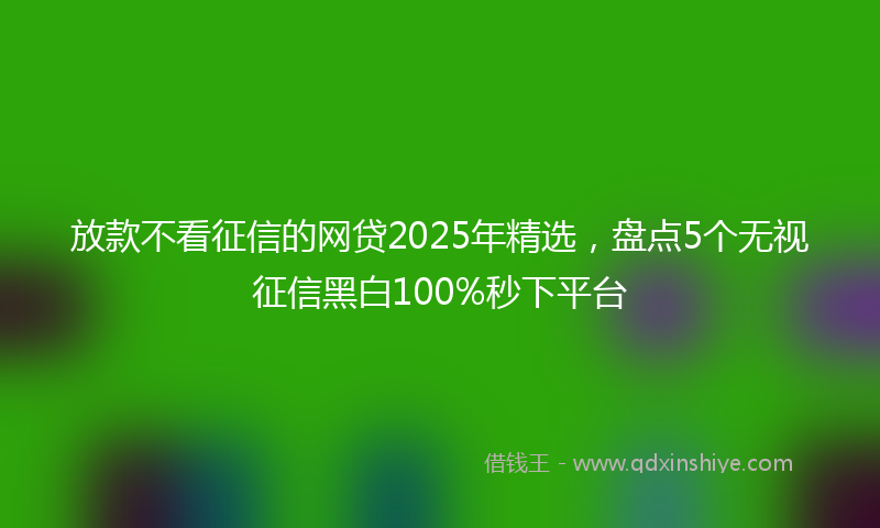 放款不看征信的网贷2025年精选，盘点5个无视征信黑白100%秒下平台
