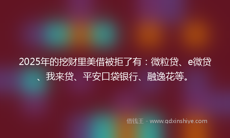 2025年的挖财里美借被拒了有：微粒贷、e微贷、我来贷、平安口袋银行、融逸花等。