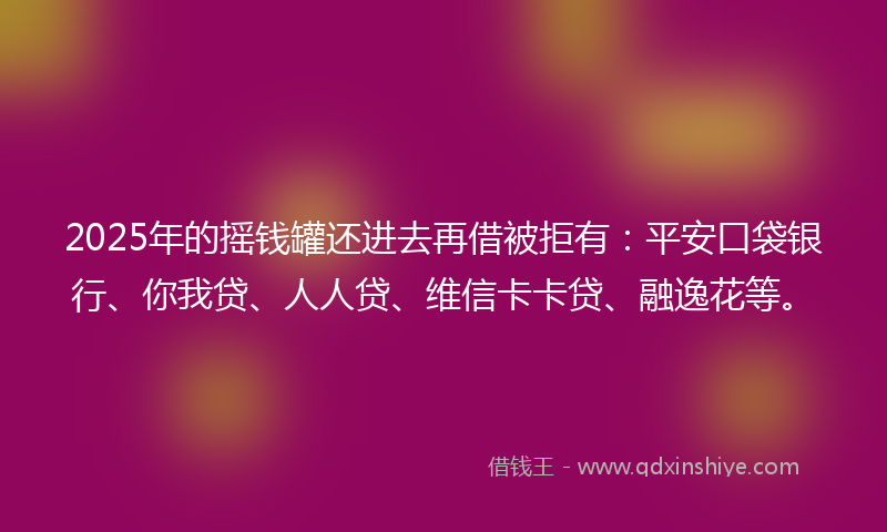 2025年的摇钱罐还进去再借被拒有：平安口袋银行、你我贷、人人贷、维信卡卡贷、融逸花等。