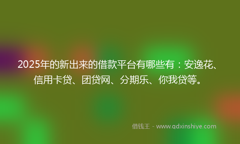 2025年的新出来的借款平台有哪些有：安逸花、信用卡贷、团贷网、分期乐、你我贷等。
