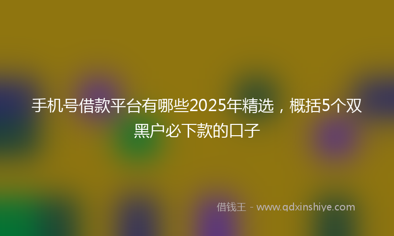 手机号借款平台有哪些2025年精选，概括5个双黑户必下款的口子