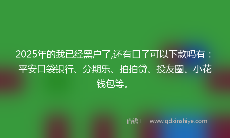 2025年的我已经黑户了,还有口子可以下款吗有：平安口袋银行、分期乐、拍拍贷、投友圈、小花钱包等。
