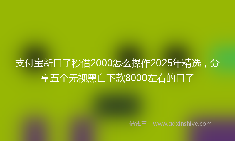 支付宝新口子秒借2000怎么操作2025年精选，分享五个无视黑白下款8000左右的口子
