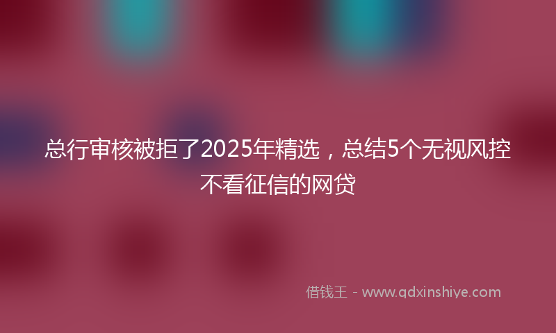 总行审核被拒了2025年精选，总结5个无视风控不看征信的网贷