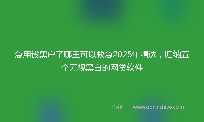 急用钱黑户了哪里可以救急2025年精选，归纳五个无视黑白的网贷软件