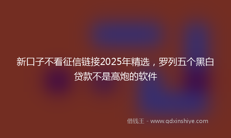 新口子不看征信链接2025年精选，罗列五个黑白贷款不是高炮的软件