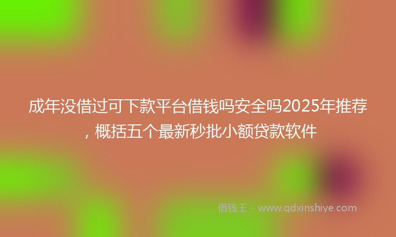 成年没借过可下款平台借钱吗安全吗2025年推荐，概括五个最新秒批小额贷款软件