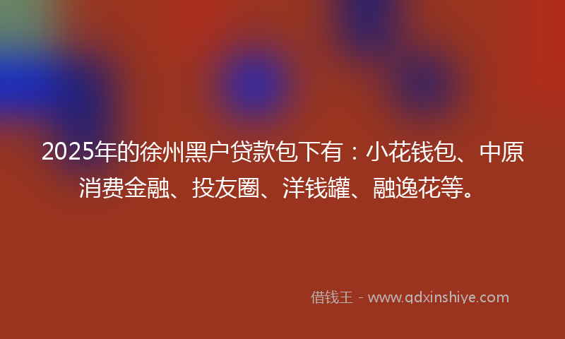 2025年的徐州黑户贷款包下有：小花钱包、中原消费金融、投友圈、洋钱罐、融逸花等。