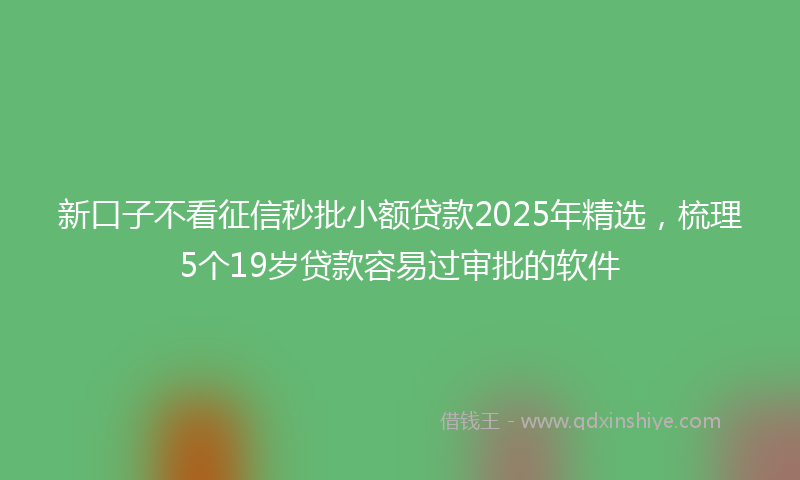 新口子不看征信秒批小额贷款2025年精选，梳理5个19岁贷款容易过审批的软件