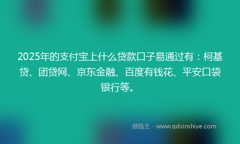 2025年的支付宝上什么贷款口子易通过有：柯基贷、团贷网、京东金融、百度有钱花、平安口袋银行等。
