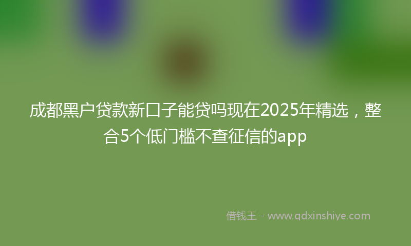 成都黑户贷款新口子能贷吗现在2025年精选，整合5个低门槛不查征信的app