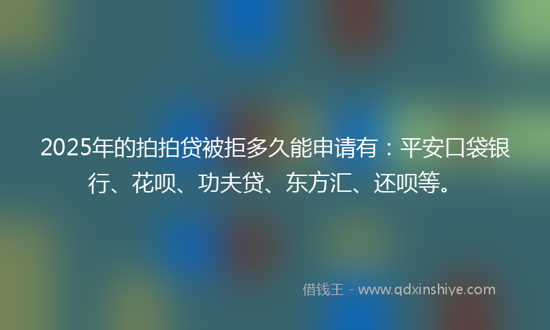 2025年的拍拍贷被拒多久能申请有：平安口袋银行、花呗、功夫贷、东方汇、还呗等。