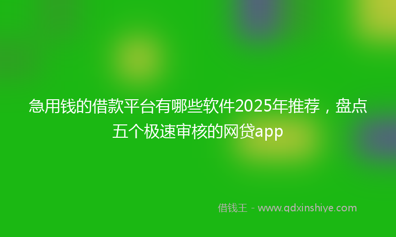 急用钱的借款平台有哪些软件2025年推荐，盘点五个极速审核的网贷app