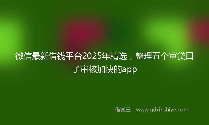 微信最新借钱平台2025年精选，整理五个审贷口子审核加快的app