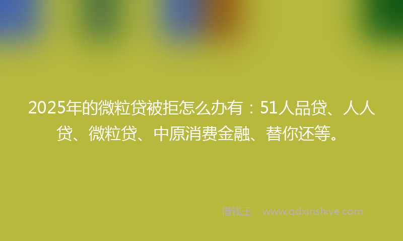 2025年的微粒贷被拒怎么办有：51人品贷、人人贷、微粒贷、中原消费金融、替你还等。
