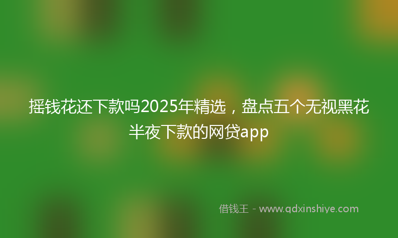 摇钱花还下款吗2025年精选，盘点五个无视黑花半夜下款的网贷app
