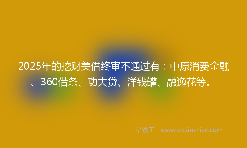 2025年的挖财美借终审不通过有：中原消费金融、360借条、功夫贷、洋钱罐、融逸花等。