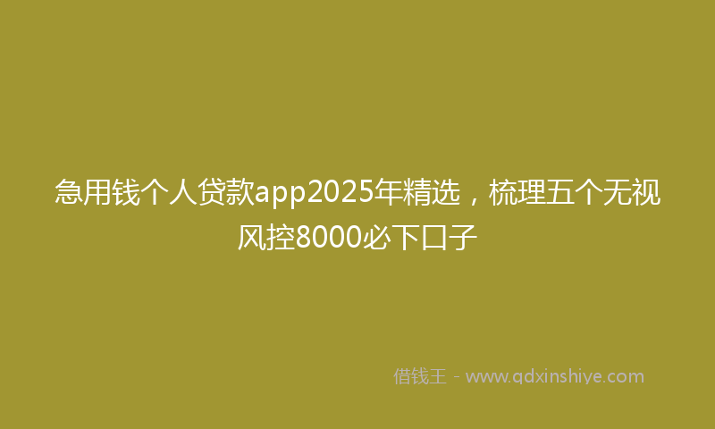 急用钱个人贷款app2025年精选，梳理五个无视风控8000必下口子
