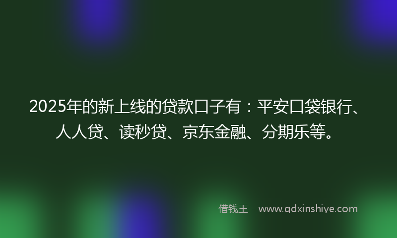 2025年的新上线的贷款口子有：平安口袋银行、人人贷、读秒贷、京东金融、分期乐等。