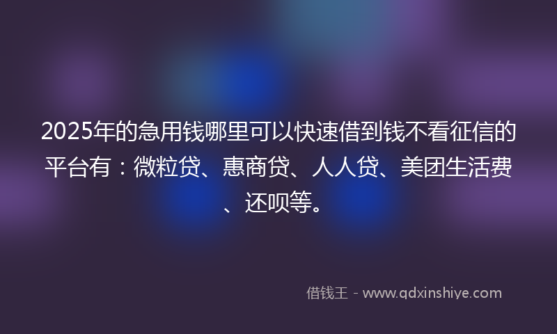 2025年的急用钱哪里可以快速借到钱不看征信的平台有：微粒贷、惠商贷、人人贷、美团生活费、还呗等。