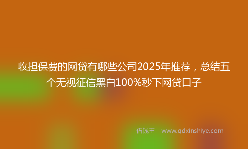 收担保费的网贷有哪些公司2025年推荐，总结五个无视征信黑白100%秒下网贷口子