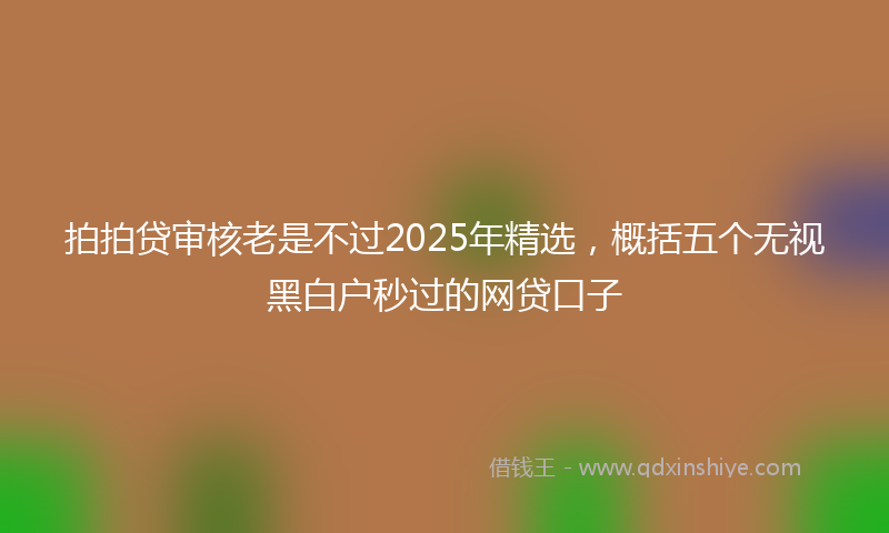 拍拍贷审核老是不过2025年精选，概括五个无视黑白户秒过的网贷口子