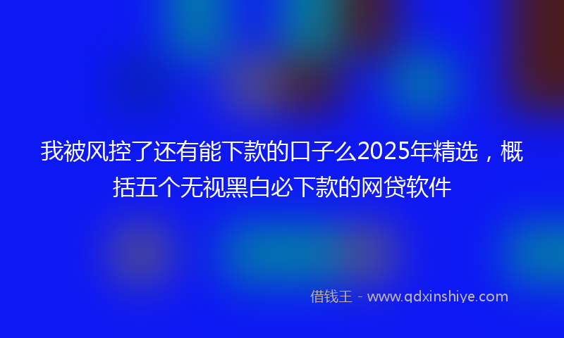 我被风控了还有能下款的口子么2025年精选，概括五个无视黑白必下款的网贷软件