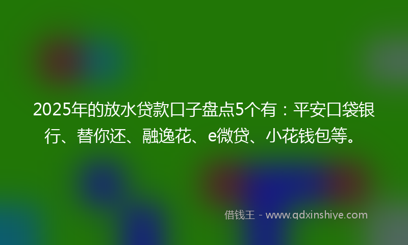 2025年的放水贷款口子盘点5个有：平安口袋银行、替你还、融逸花、e微贷、小花钱包等。