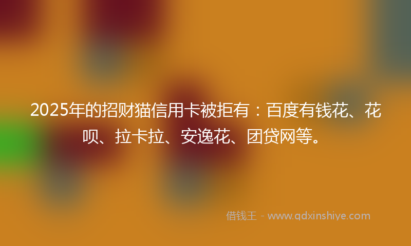 2025年的招财猫信用卡被拒有：百度有钱花、花呗、拉卡拉、安逸花、团贷网等。