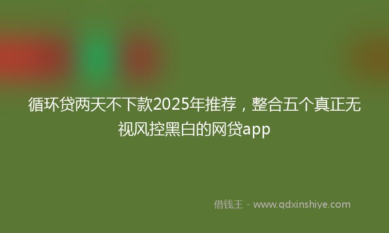 循环贷两天不下款2025年推荐，整合五个真正无视风控黑白的网贷app