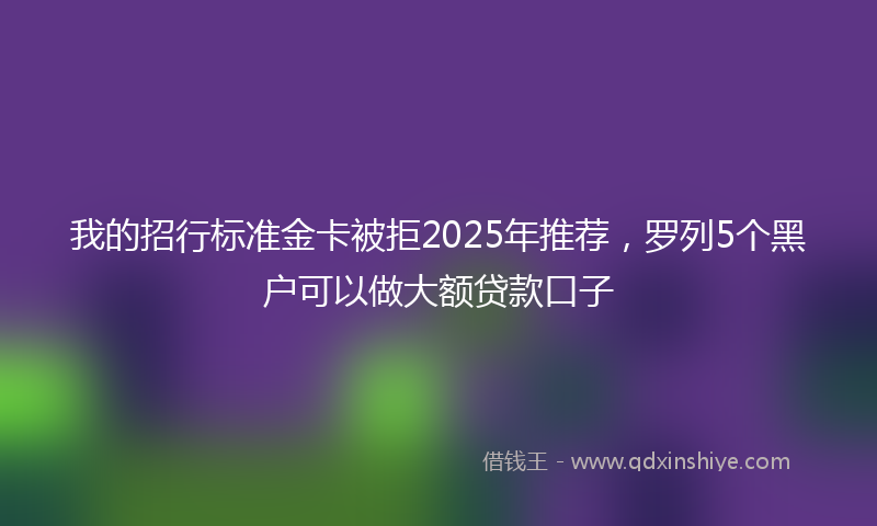 我的招行标准金卡被拒2025年推荐，罗列5个黑户可以做大额贷款口子