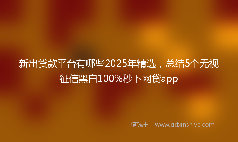 新出贷款平台有哪些2025年精选，总结5个无视征信黑白100%秒下网贷app