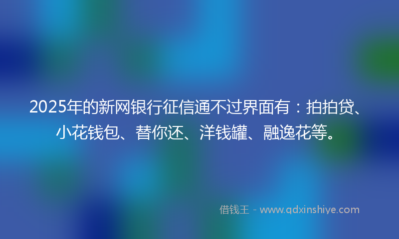 2025年的新网银行征信通不过界面有：拍拍贷、小花钱包、替你还、洋钱罐、融逸花等。