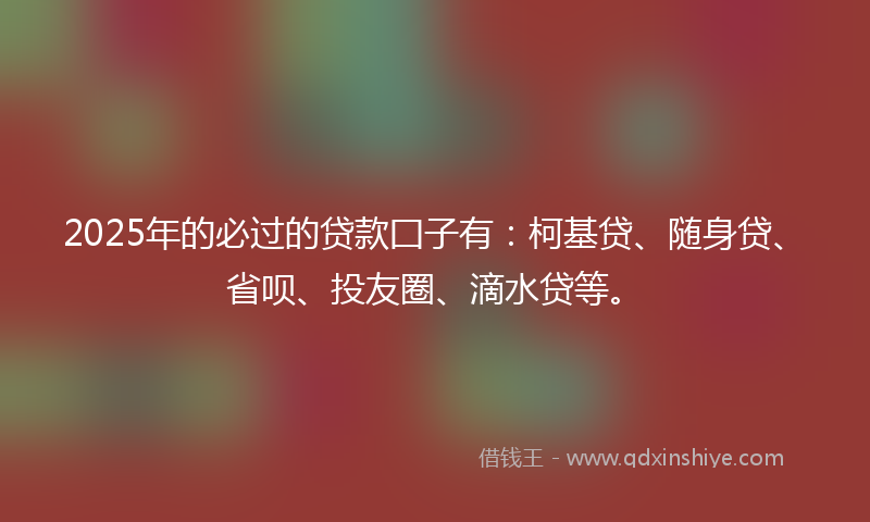 2025年的必过的贷款囗子有：柯基贷、随身贷、省呗、投友圈、滴水贷等。