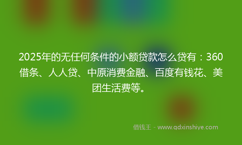 2025年的无任何条件的小额贷款怎么贷有：360借条、人人贷、中原消费金融、百度有钱花、美团生活费等。