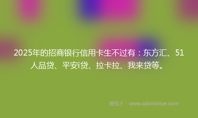 2025年的招商银行信用卡生不过有：东方汇、51人品贷、平安i贷、拉卡拉、我来贷等。