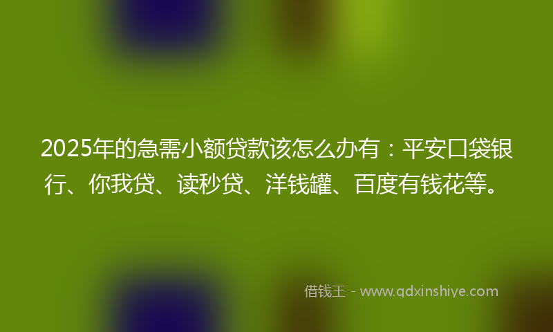 2025年的急需小额贷款该怎么办有：平安口袋银行、你我贷、读秒贷、洋钱罐、百度有钱花等。