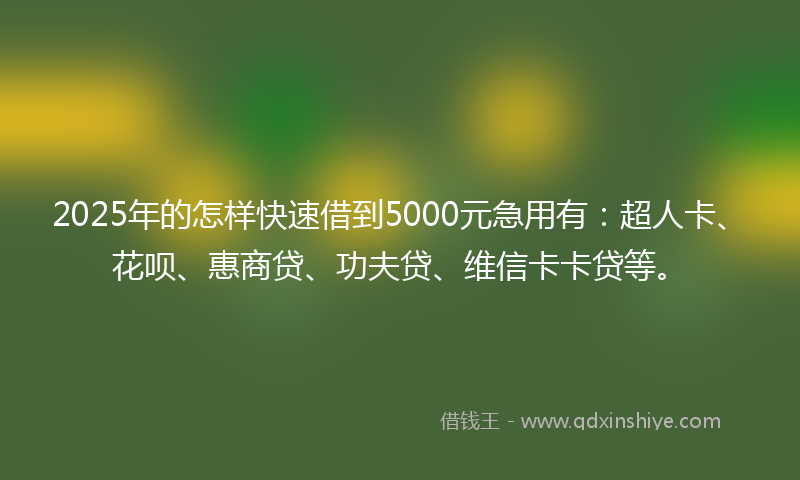 2025年的怎样快速借到5000元急用有：超人卡、花呗、惠商贷、功夫贷、维信卡卡贷等。