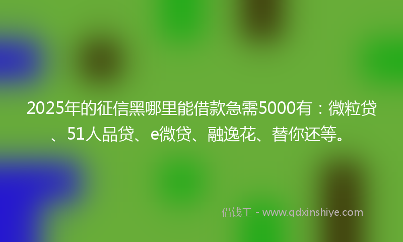 2025年的征信黑哪里能借款急需5000有：微粒贷、51人品贷、e微贷、融逸花、替你还等。