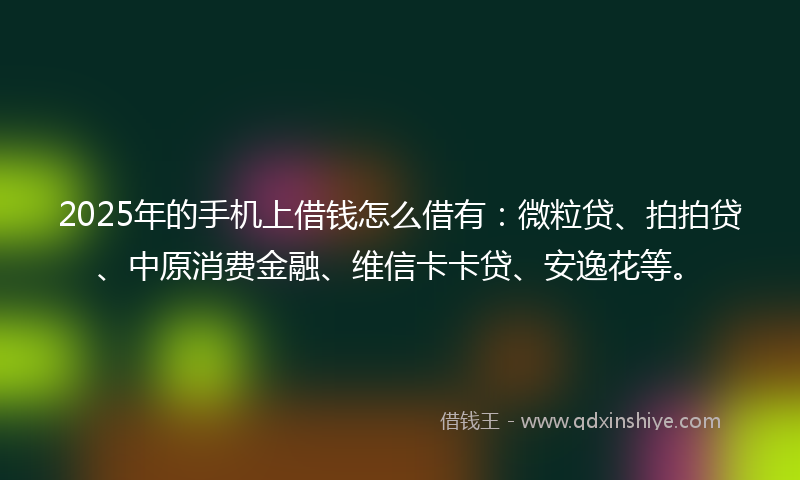 2025年的手机上借钱怎么借有：微粒贷、拍拍贷、中原消费金融、维信卡卡贷、安逸花等。
