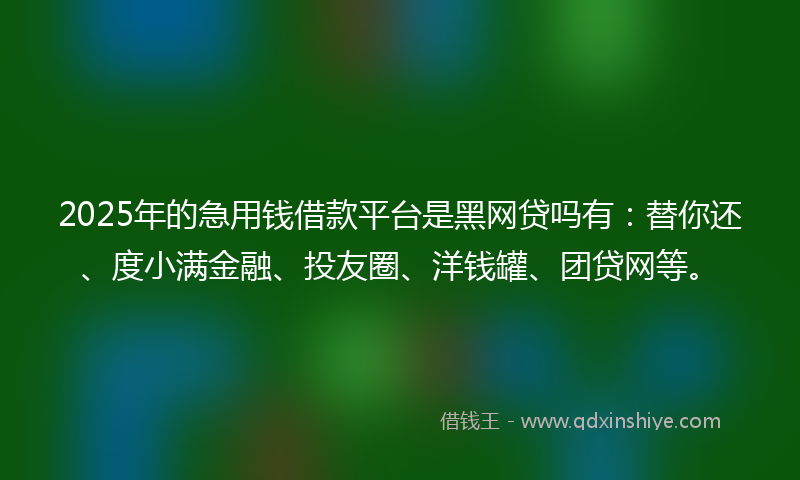 2025年的急用钱借款平台是黑网贷吗有：替你还、度小满金融、投友圈、洋钱罐、团贷网等。