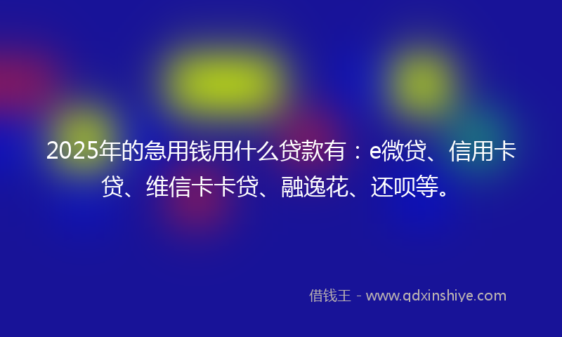 2025年的急用钱用什么贷款有：e微贷、信用卡贷、维信卡卡贷、融逸花、还呗等。