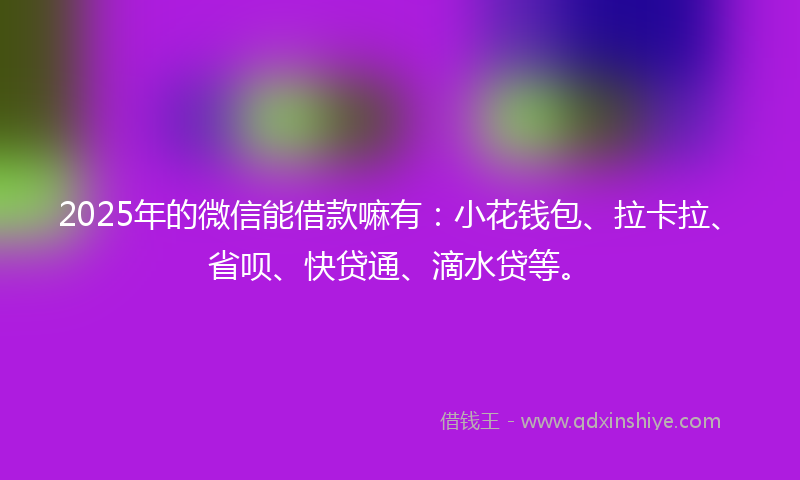 2025年的微信能借款嘛有：小花钱包、拉卡拉、省呗、快贷通、滴水贷等。