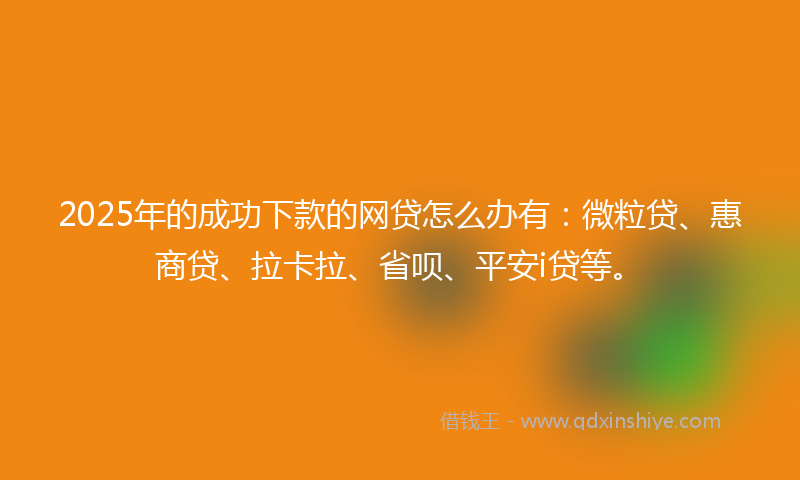 2025年的成功下款的网贷怎么办有：微粒贷、惠商贷、拉卡拉、省呗、平安i贷等。