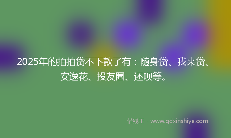 2025年的拍拍贷不下款了有：随身贷、我来贷、安逸花、投友圈、还呗等。