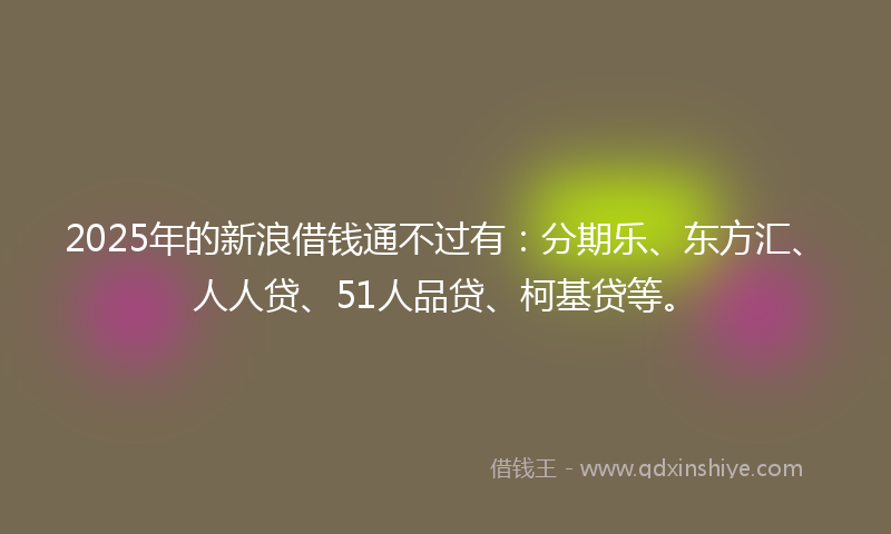 2025年的新浪借钱通不过有：分期乐、东方汇、人人贷、51人品贷、柯基贷等。