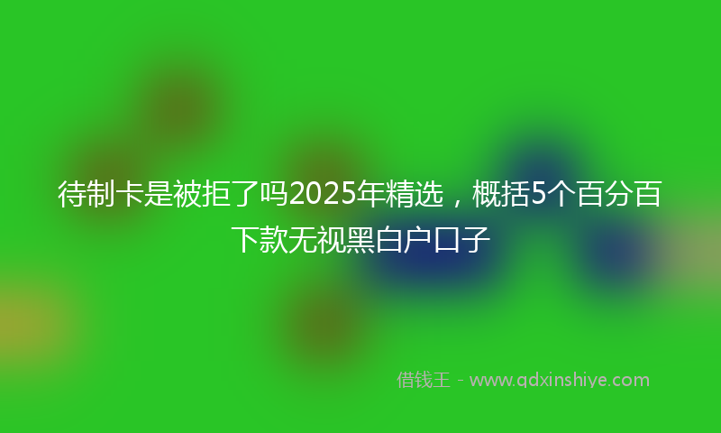 待制卡是被拒了吗2025年精选，概括5个百分百下款无视黑白户口子