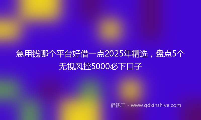 急用钱哪个平台好借一点2025年精选，盘点5个无视风控5000必下口子