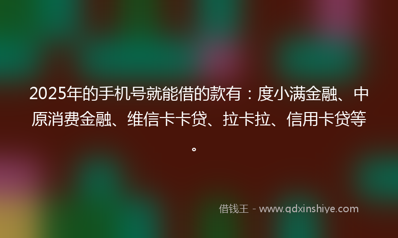 2025年的手机号就能借的款有：度小满金融、中原消费金融、维信卡卡贷、拉卡拉、信用卡贷等。